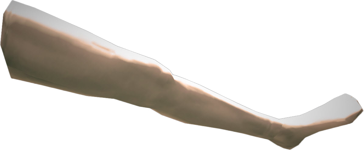 Image   Dead Rising Mannequin Female Left Leg.png | Dead Rising Wiki | Fandom Powered By Wikia - Leg, Transparent background PNG HD thumbnail