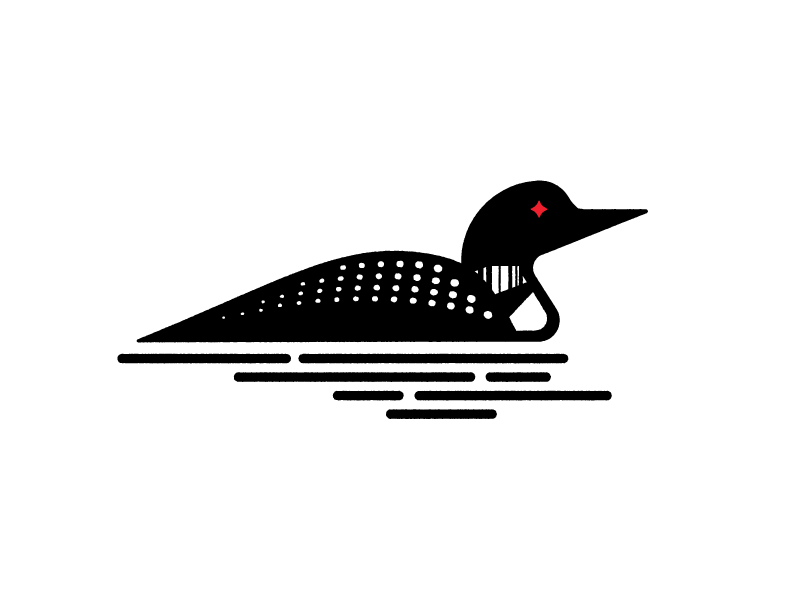 Png Loon Hdpng.com 800 - Loon, Transparent background PNG HD thumbnail