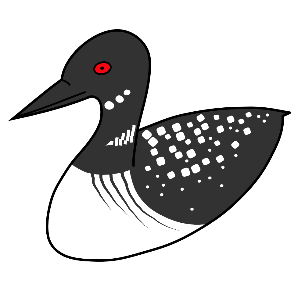 Loon. 1000 200 - Loon, Transparent background PNG HD thumbnail