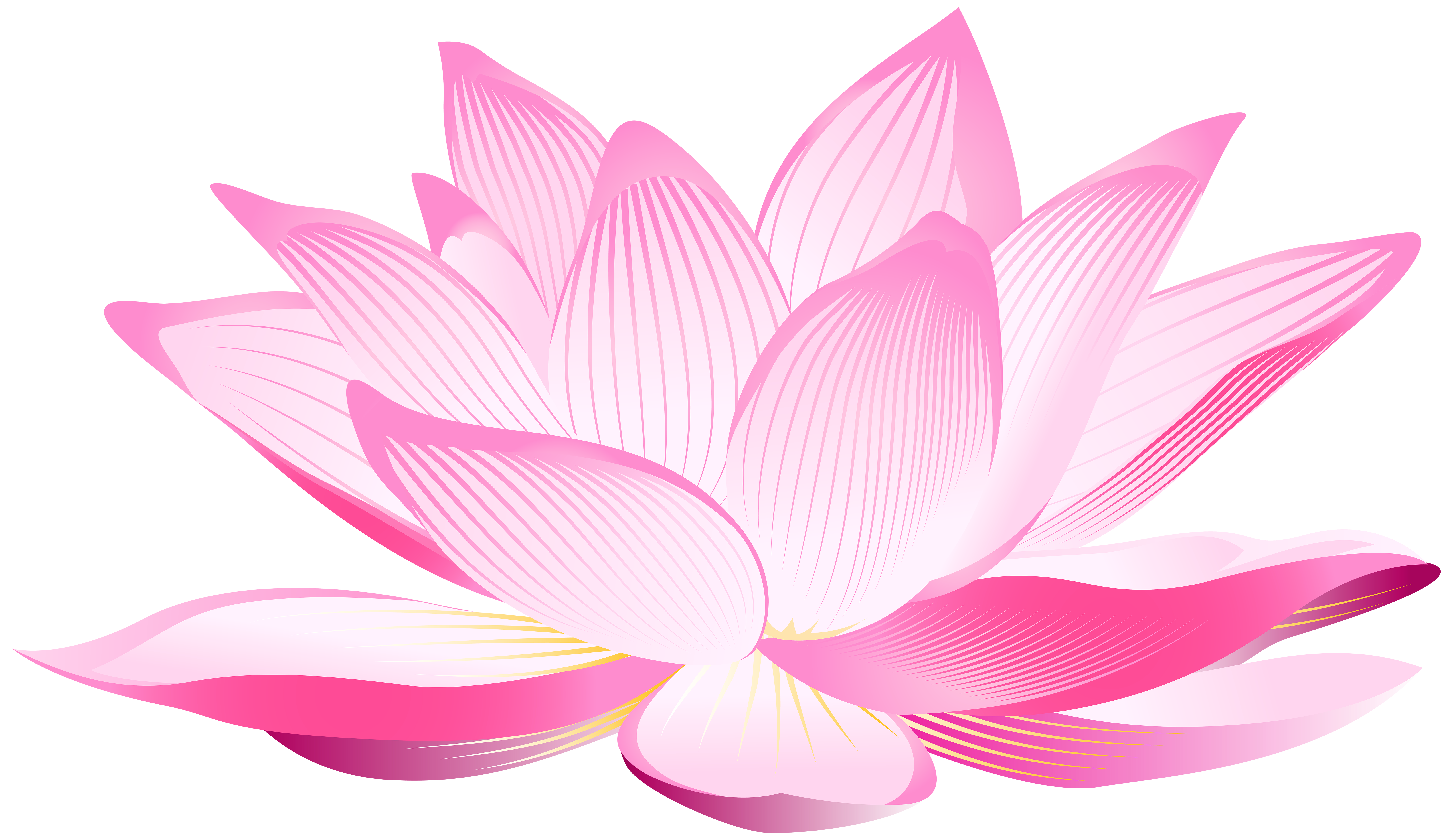 Lotus - Lotus Flower, Transparent background PNG HD thumbnail