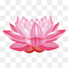 Png Lotus Flower - Vector Lotus, Transparent background PNG HD thumbnail
