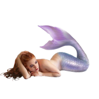 Similar Mermaid Png Image - Mermaid, Transparent background PNG HD thumbnail