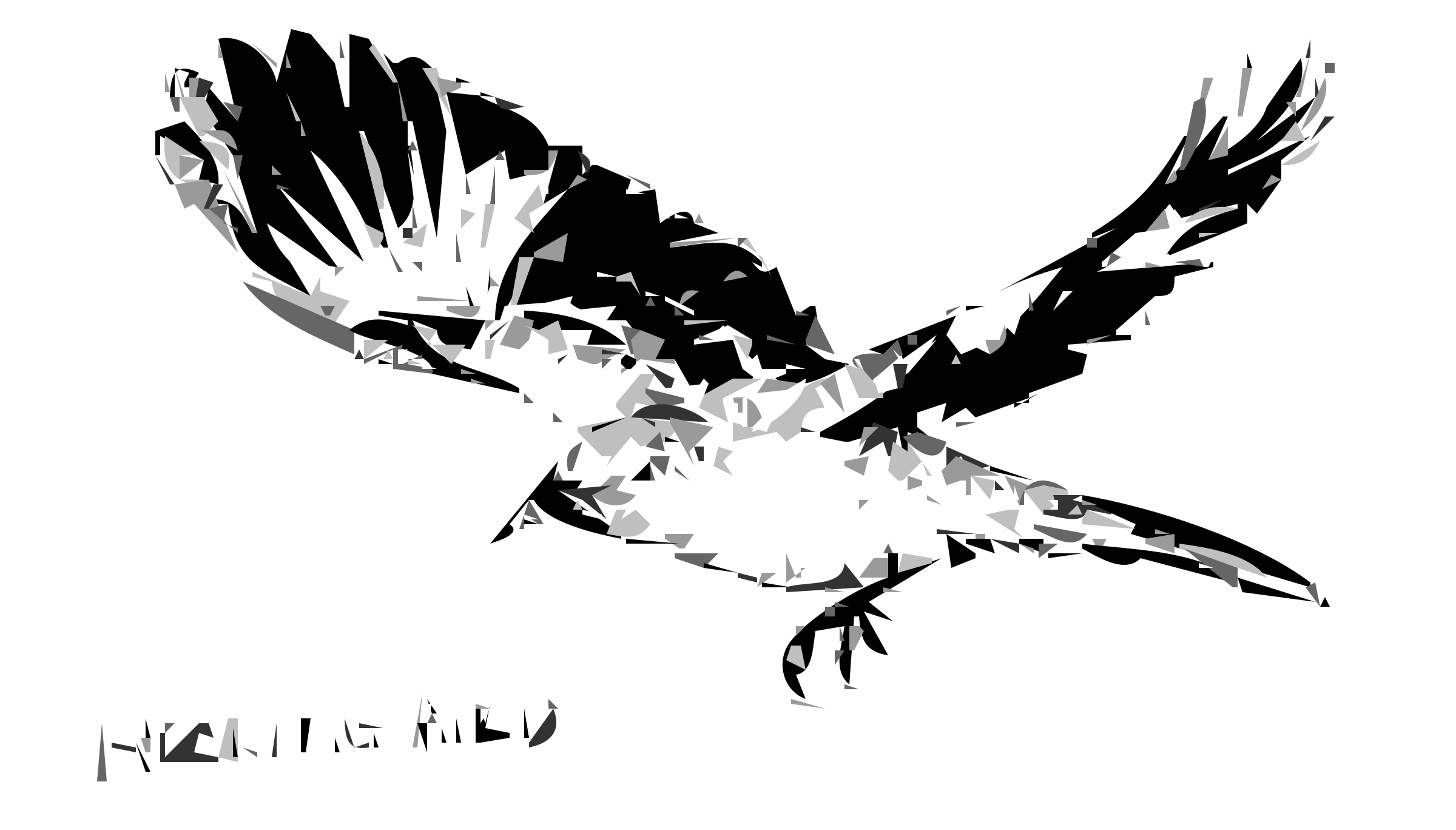 Mockingbird Bird - Mockingbird, Transparent background PNG HD thumbnail
