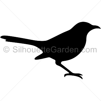 Mockingbird Silhouette - Mockingbird, Transparent background PNG HD thumbnail