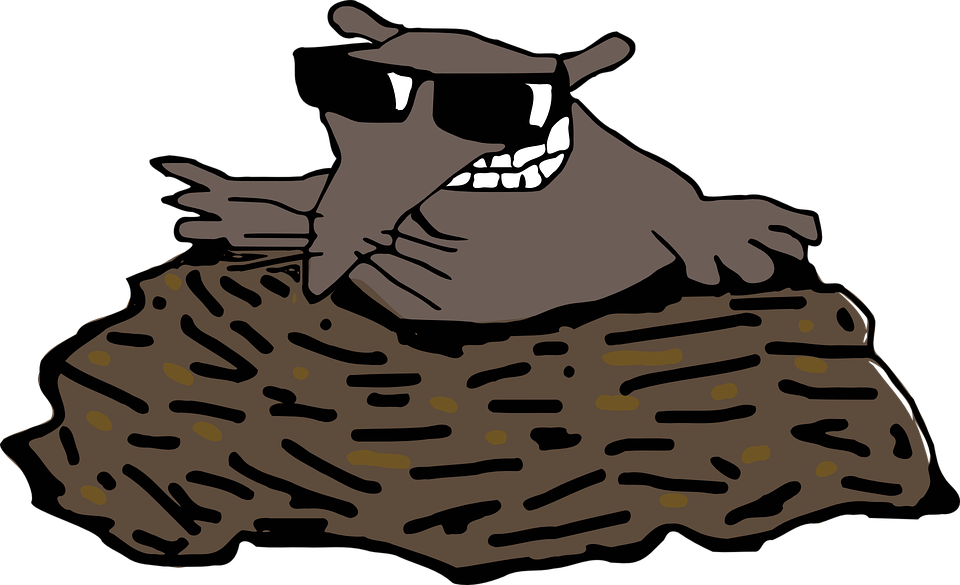 Mole, Molehill, Animal, Fun, Sunglasses - Mole, Transparent background PNG HD thumbnail