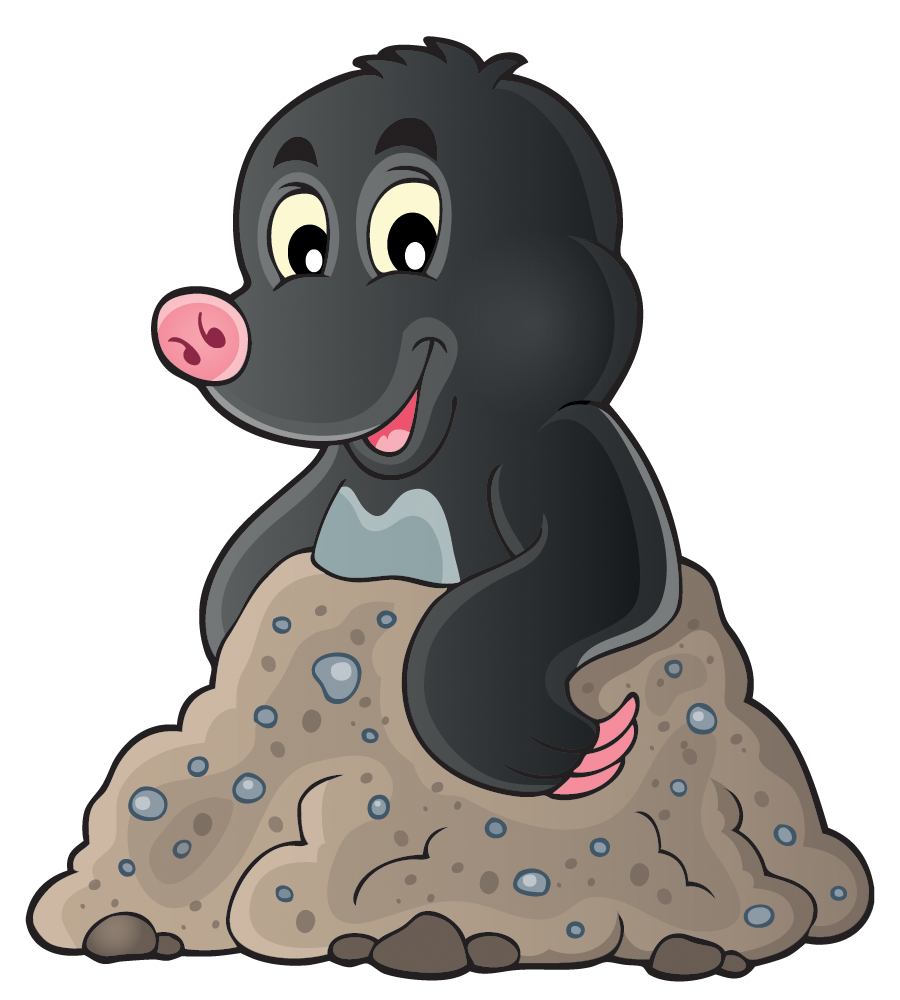 Welcome To Maths Mole - Mole, Transparent background PNG HD thumbnail
