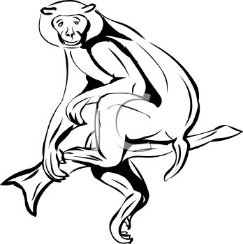 Spider Monkey Clip Art - Monkey Black And White, Transparent background PNG HD thumbnail