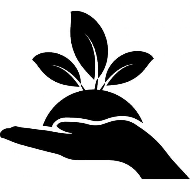 Plant Leaves On A Hand - Nature Black And White, Transparent background PNG HD thumbnail