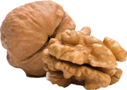 toasted walnut kernels