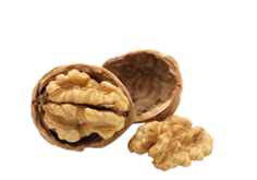 Toasted Walnut Kernels - Noci, Transparent background PNG HD thumbnail