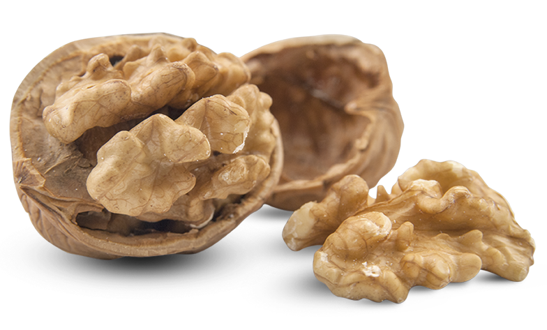 Walnut PNG, PNG Noci - Free PNG
