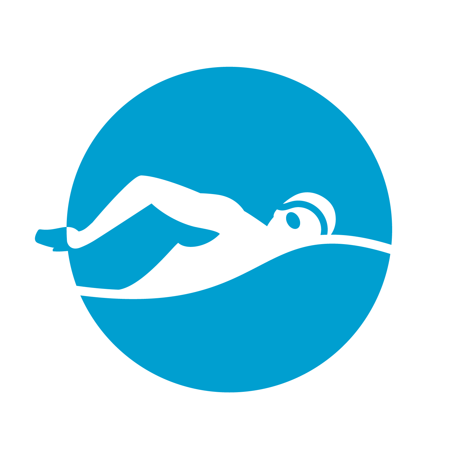 File:Mondiali di nuoto Budape