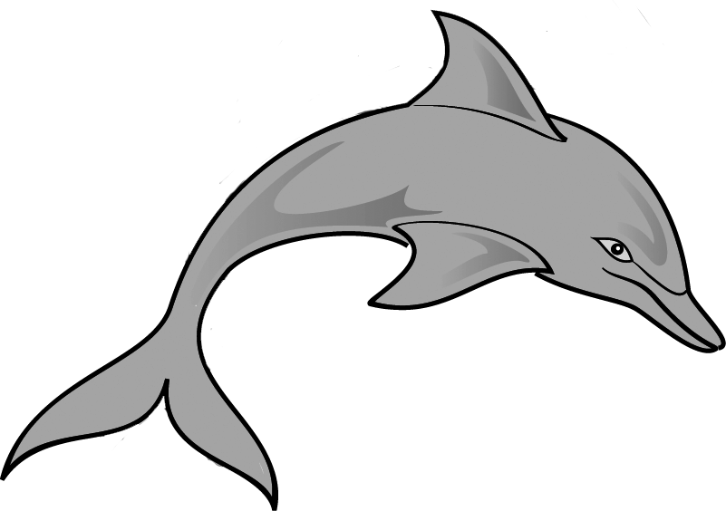 Pin Gray Clipart Ocean Animal #2 - Ocean Animals, Transparent background PNG HD thumbnail