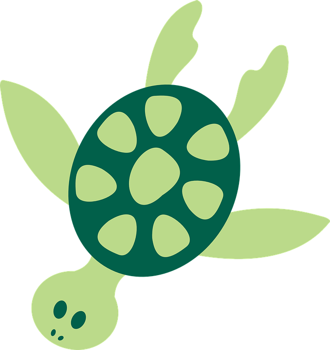 Pin Turtle Clipart Ocean Animal #1 - Ocean Animals, Transparent background PNG HD thumbnail