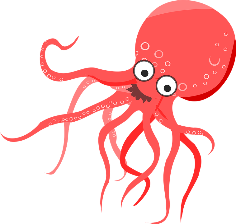 Cartoon, Octopus, Orange, Red, Sea, Stuff - Octopus, Transparent background PNG HD thumbnail