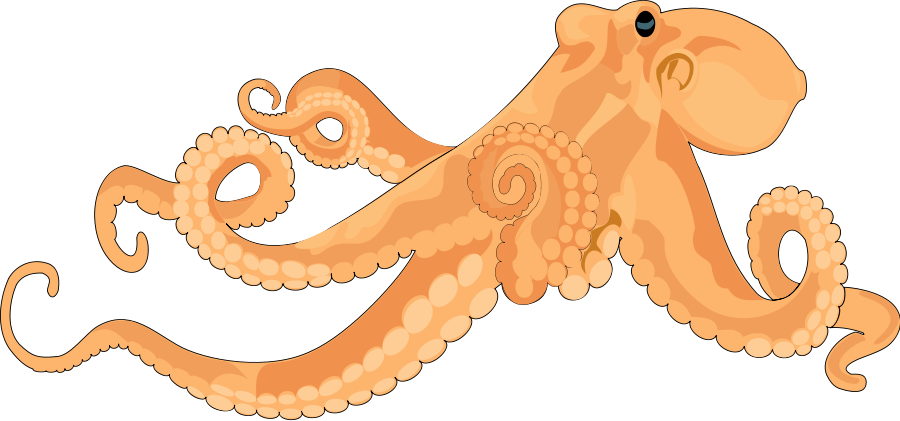 This Free Clip Arts Design Of Octopus 02 Hdpng.com  - Octopus, Transparent background PNG HD thumbnail