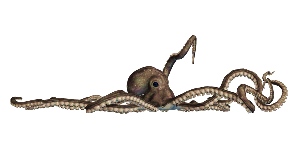 Giant Of The Deep Png Stock 04 By Roy3D Hdpng.com  - Octopus, Transparent background PNG HD thumbnail