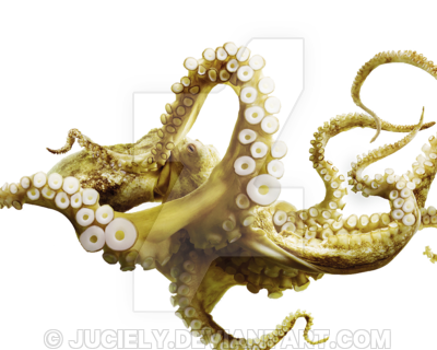 Octopus Png By Juciely Hdpng.com  - Octopus, Transparent background PNG HD thumbnail
