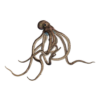 Giant Of The Deep PNG Stock 0