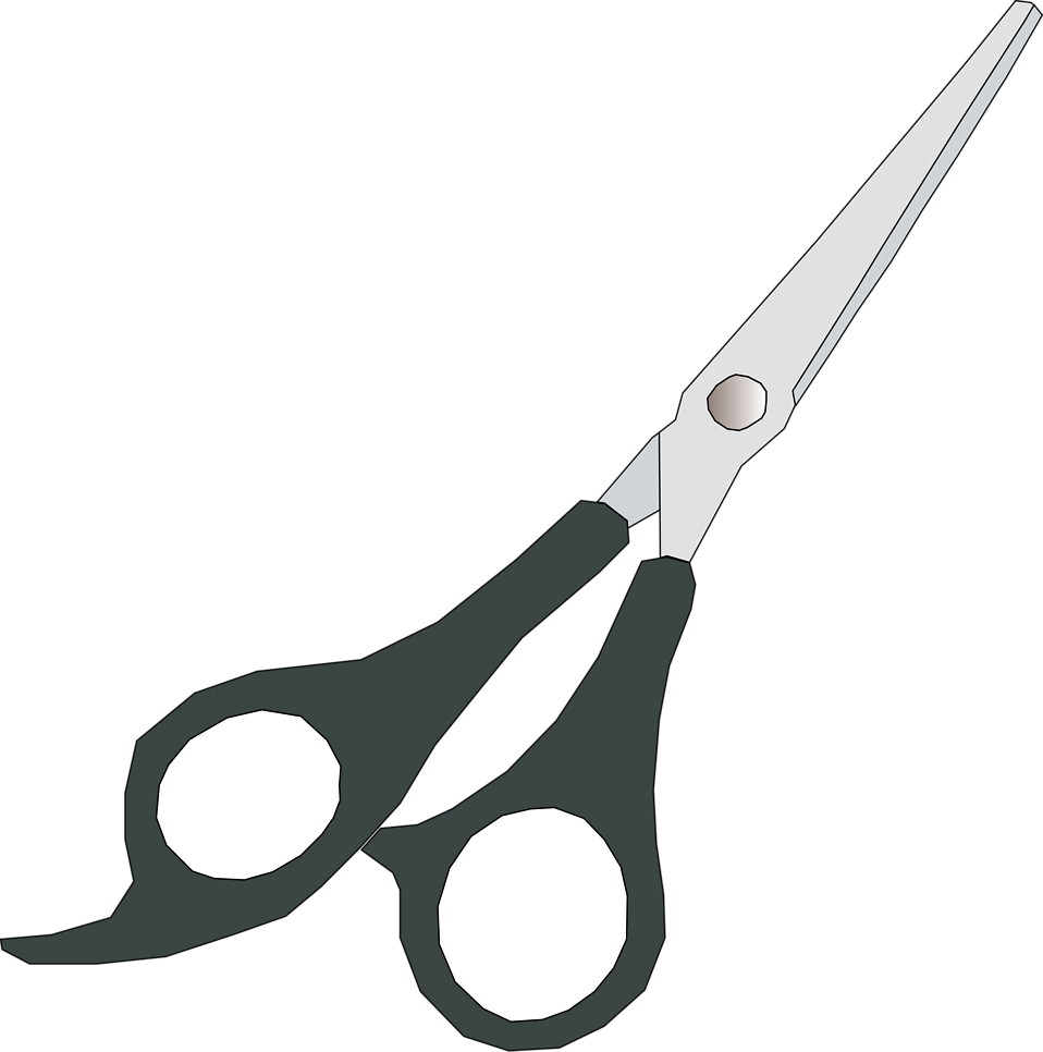 Free Clipart Of A Pair of sci