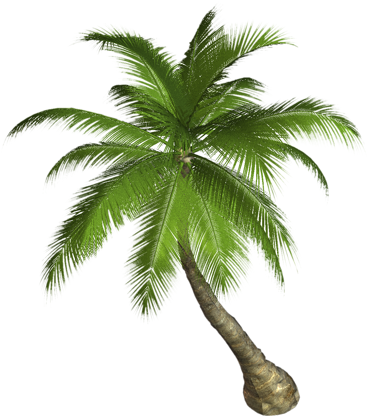 Palm Tree Png - Of A Palm Tree, Transparent background PNG HD thumbnail