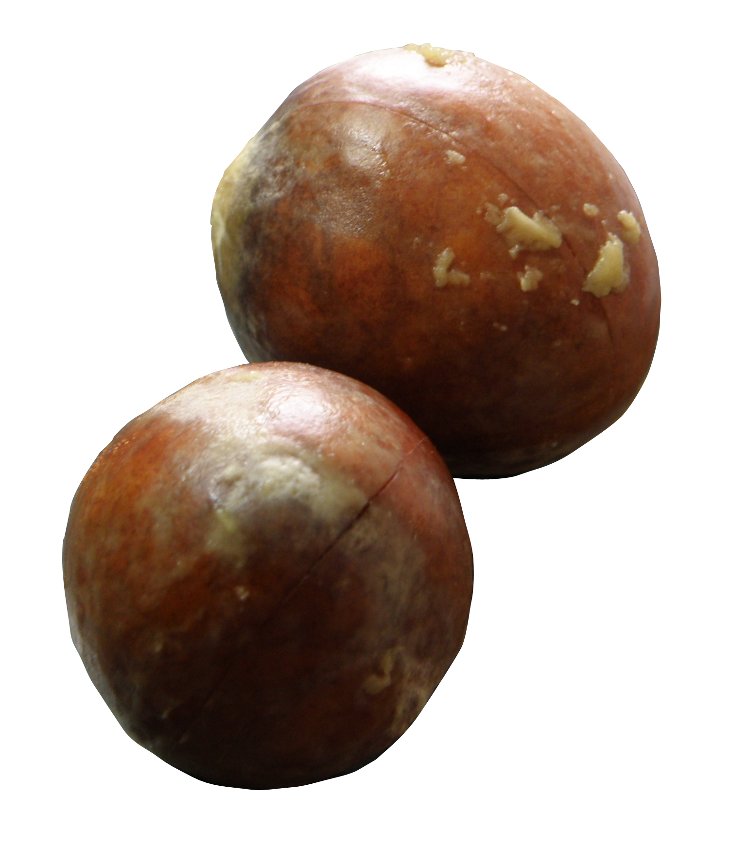 File:avocado Seeds.png - Of A Seed, Transparent background PNG HD thumbnail
