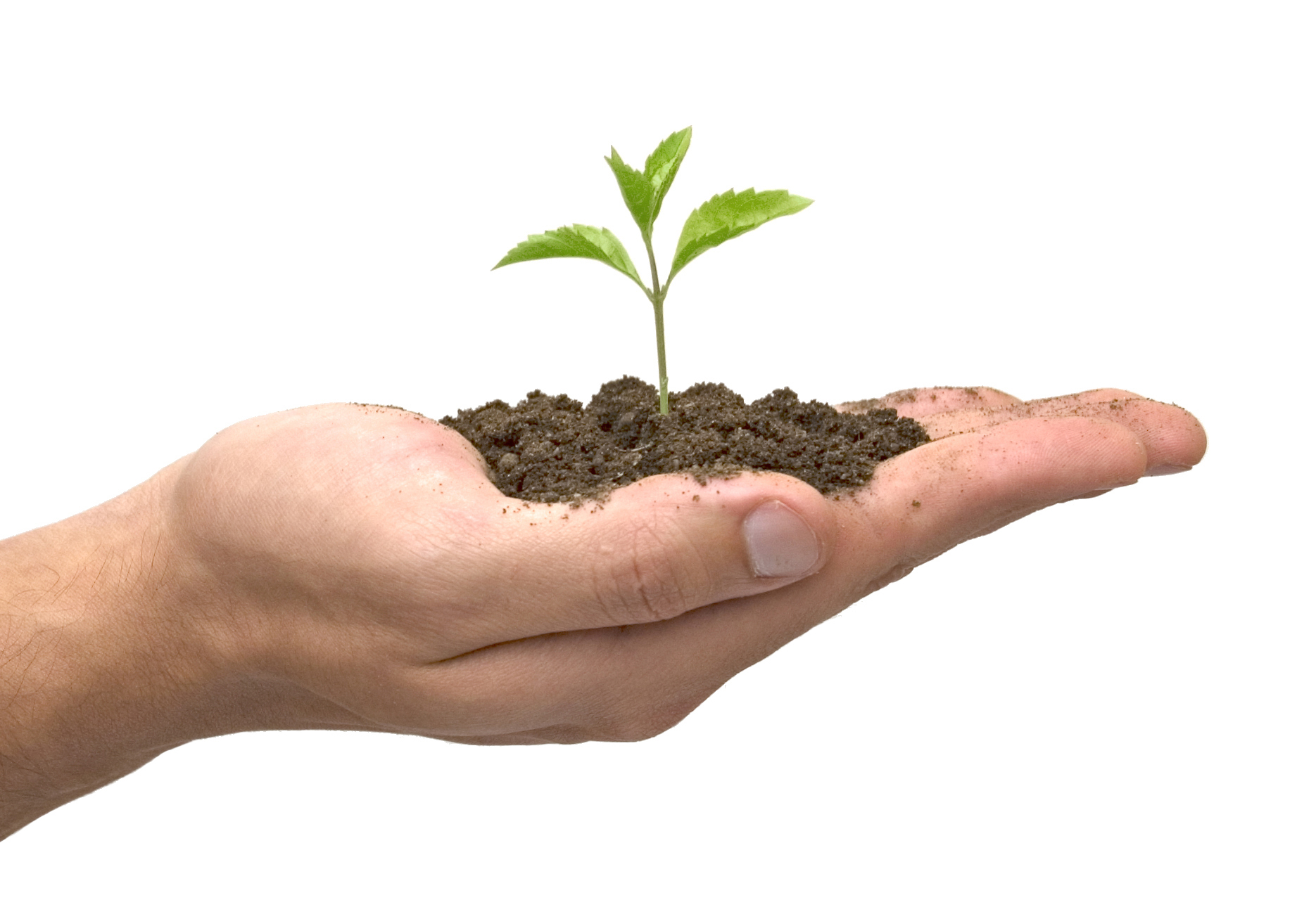 Plant the Seeds of Success - 