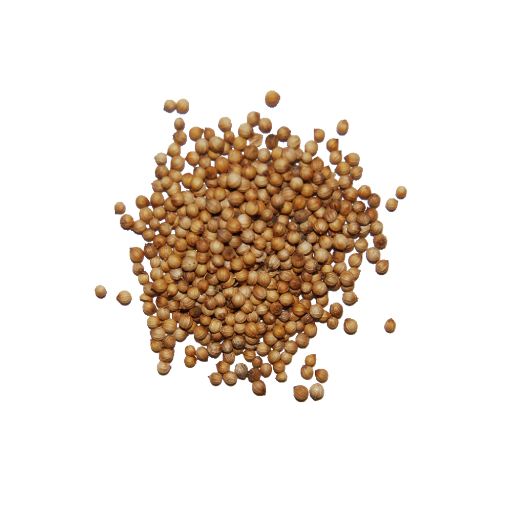 Seed Png - Of A Seed, Transparent background PNG HD thumbnail