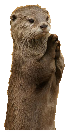 Otter With Shell SVG Clip art
