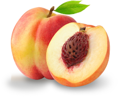 Peach Slice Png Truly Peach Image #41698 - Peach, Transparent background PNG HD thumbnail