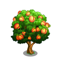 Png Peach Tree - Classic Peach Tree Icon.png, Transparent background PNG HD thumbnail