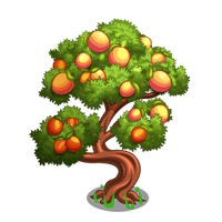 File:cresthaven Peach Tree Icon.png - Peach Tree, Transparent background PNG HD thumbnail