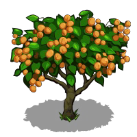 Png Peach Tree - File:peach Tree Fruit Icon.png, Transparent background PNG HD thumbnail