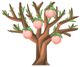 File:peach Tree.png - Peach Tree, Transparent background PNG HD thumbnail