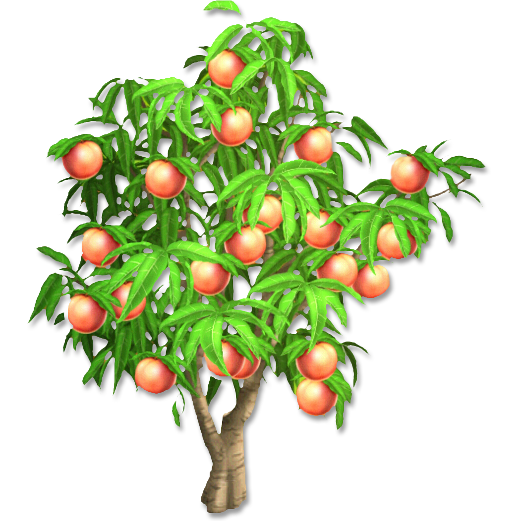 Png Peach Tree - Peach Tree.png, Transparent background PNG HD thumbnail