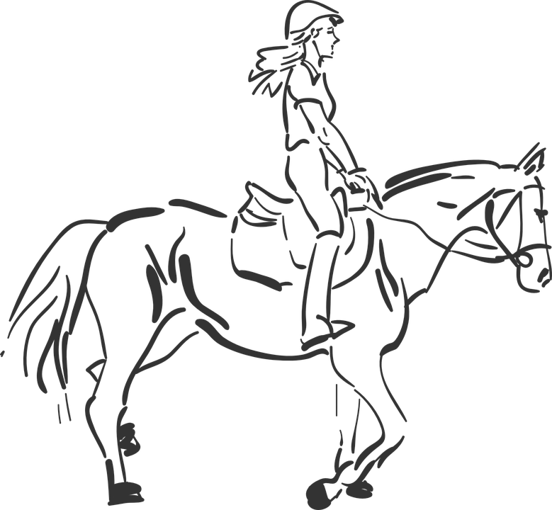 Pferd, Reiten, Mädchen, Pferdesport, Frau, Sport - Pferd Schwarz Weiss, Transparent background PNG HD thumbnail