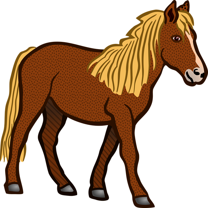Pferd, Tier, Nutztiere, Brown - Pferdekopf Kostenlos, Transparent background PNG HD thumbnail