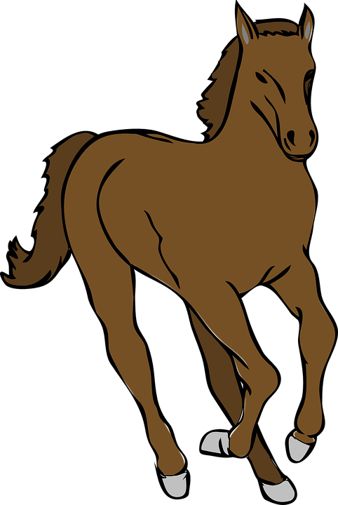 Pferd, Tier, Säugetier, Pferde, Im Galopp, Laufen - Pferdekopf Kostenlos, Transparent background PNG HD thumbnail
