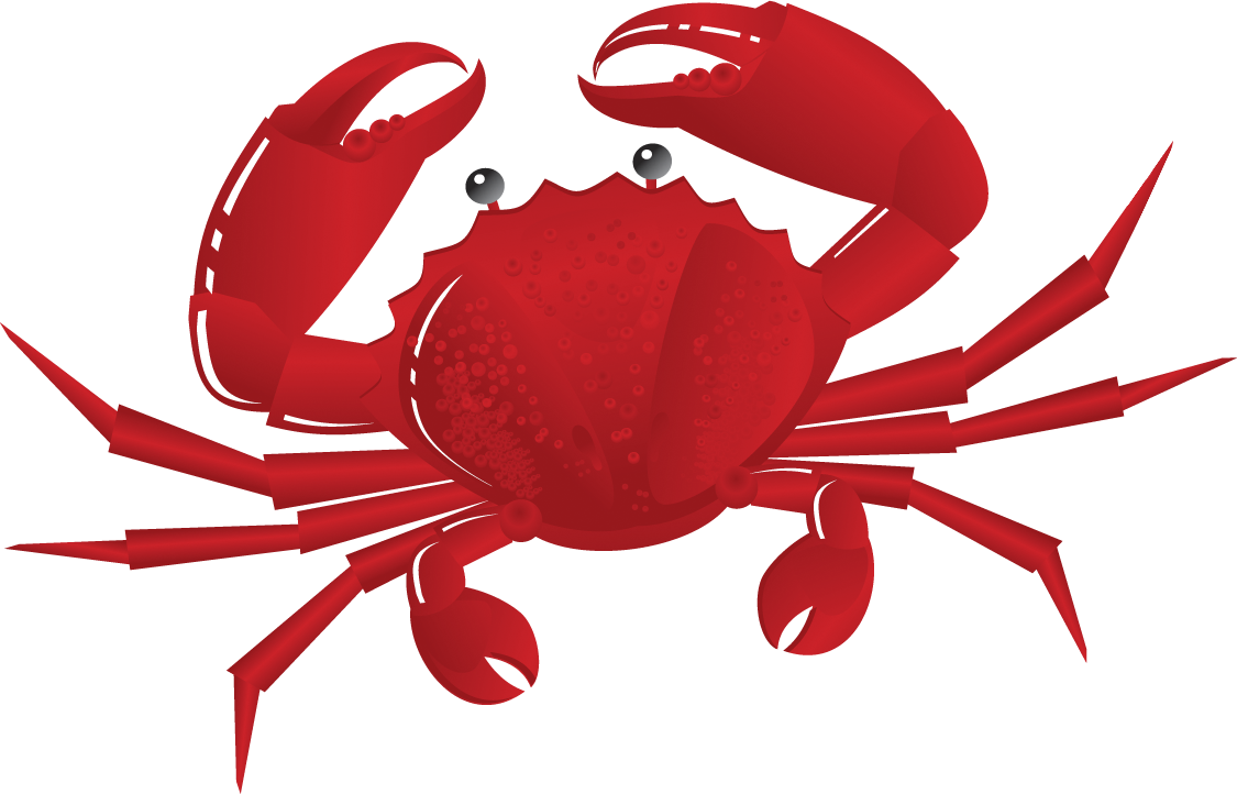 Crab Png Png Image - Picture Of A Crab, Transparent background PNG HD thumbnail