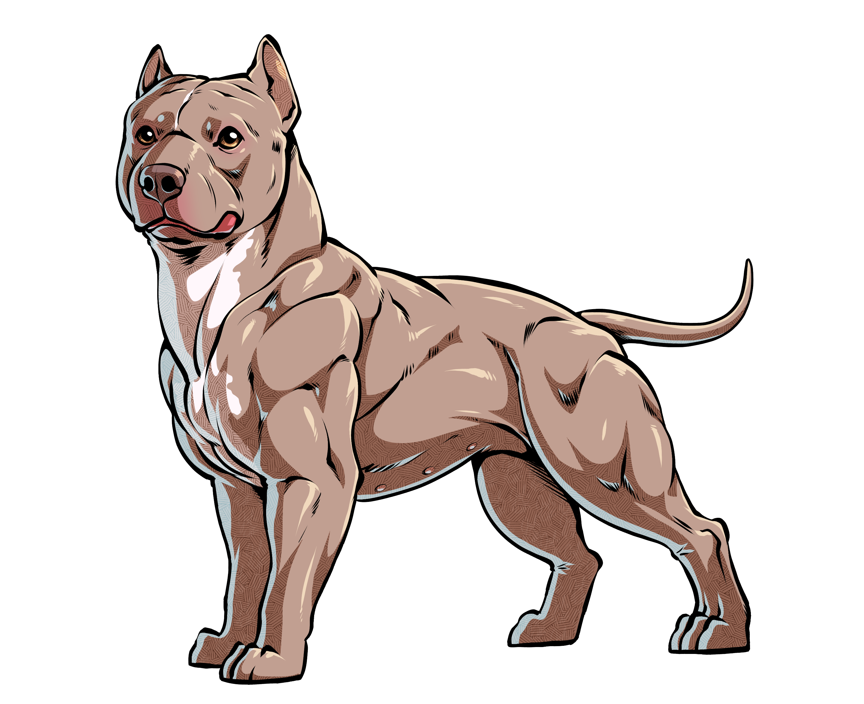 Why Are There So Many Different Types Of American Pit Bull Terriers? - Pitbull, Transparent background PNG HD thumbnail