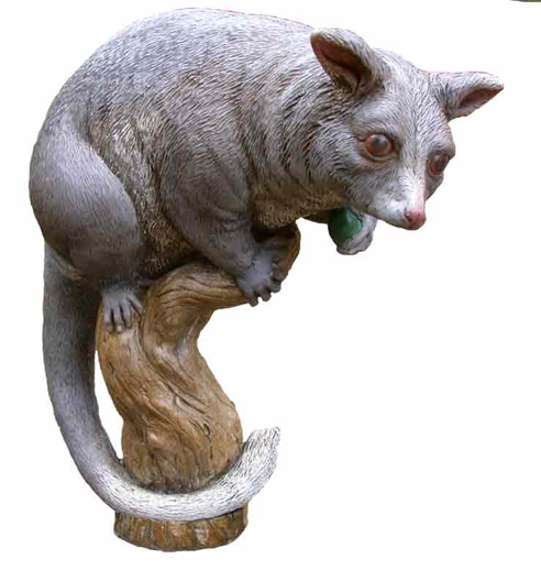 Ringtail Possum - Possum, Transparent background PNG HD thumbnail