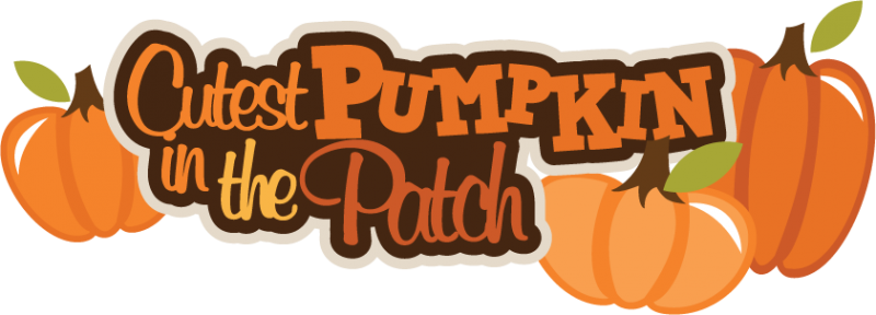 Pumpkin - Pumpkin Patch, Transparent background PNG HD thumbnail