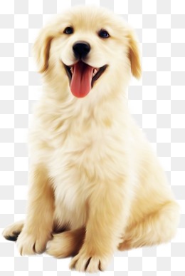 Cute Dog, Golden, Puppy, Animal Png Image - Puppy Dog, Transparent background PNG HD thumbnail