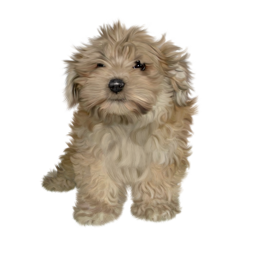 Free Puppy Png Stock By Janeeden Hdpng.com  - Puppy, Transparent background PNG HD thumbnail