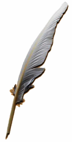 File:TESV Misc Quill.png