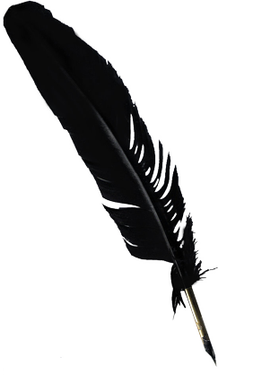 Quill - Quill, Transparent background PNG HD thumbnail
