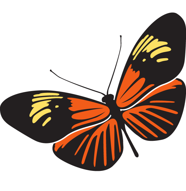 Rama Rama Is The Malaysian Word For Butterfly. Inspired By The Lightness And Beauty Of A Butterfly, We Serve You Stunning Asian Food In Landquart. - Rama Rama, Transparent background PNG HD thumbnail