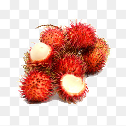 Red Rambutan, Red, Fruit, Food Png Image - Rambutan, Transparent background PNG HD thumbnail