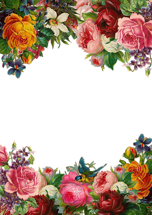 Blomst, Rose, Ramme, Indsamling, Vintage, Sammensætning - Rammer Med Blomster, Transparent background PNG HD thumbnail