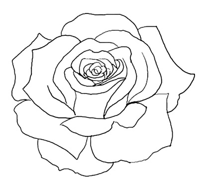 Flower Outline Tattoos | Rose Outline Tattoo Stencil Line Art Design | Just Free Image Download - Rose Outline, Transparent background PNG HD thumbnail